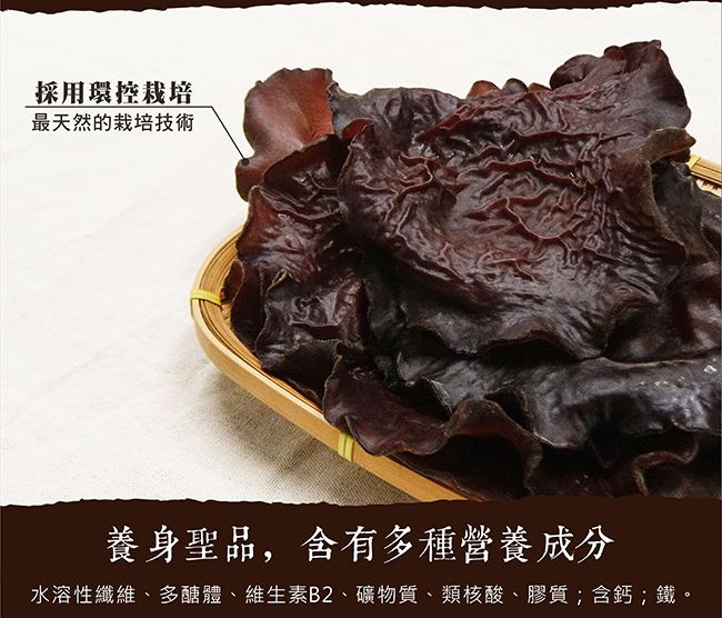 聚樂電商