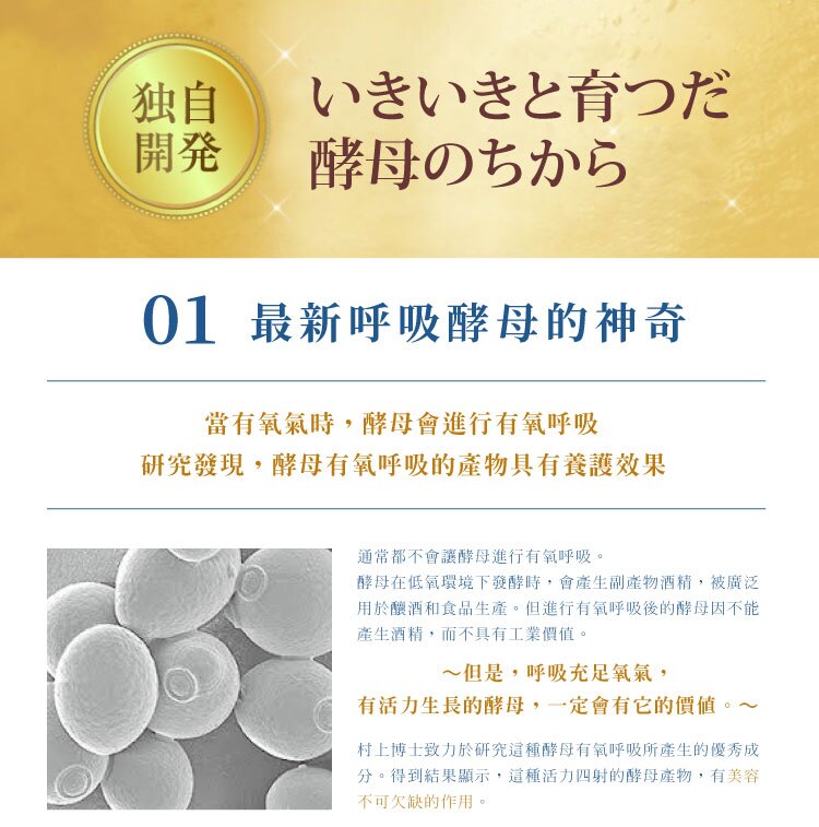 聚樂電商
