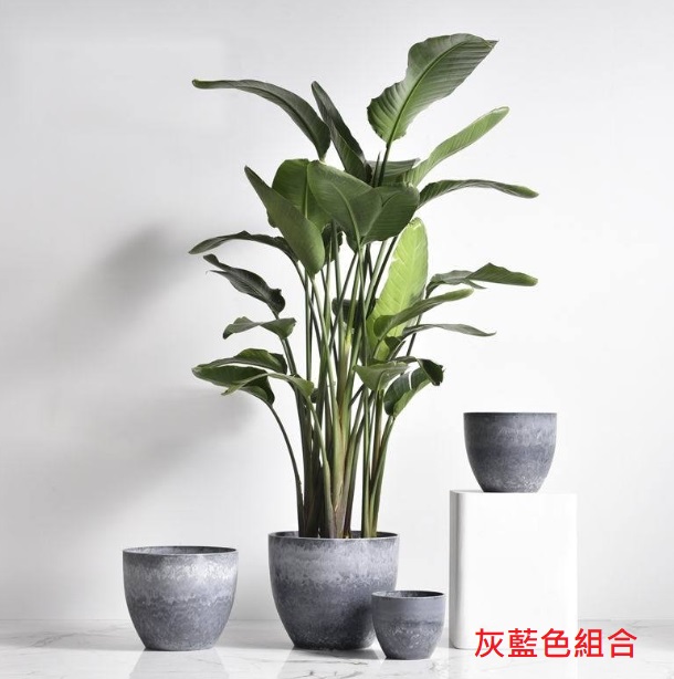 聚樂電商