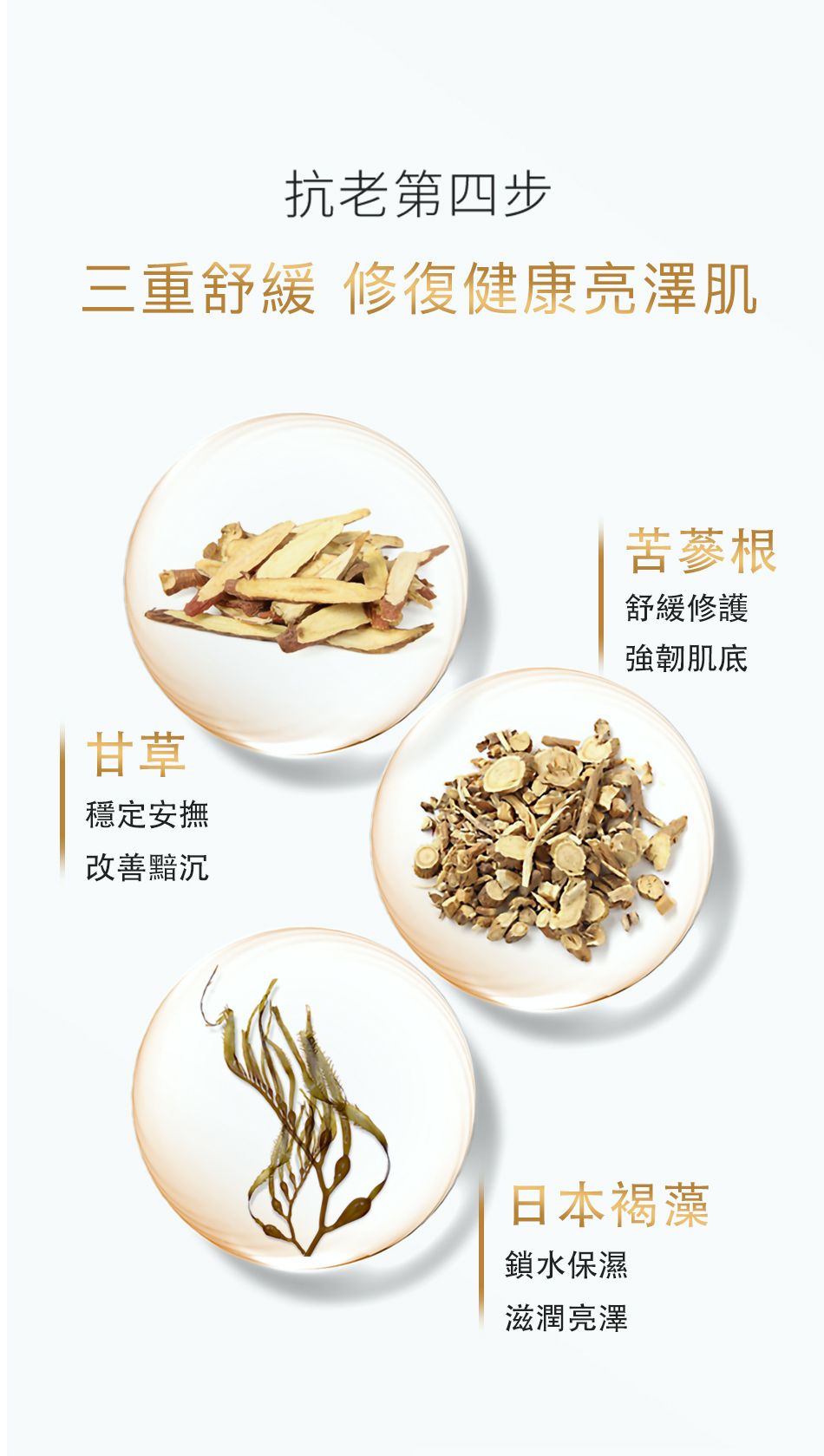 聚樂電商