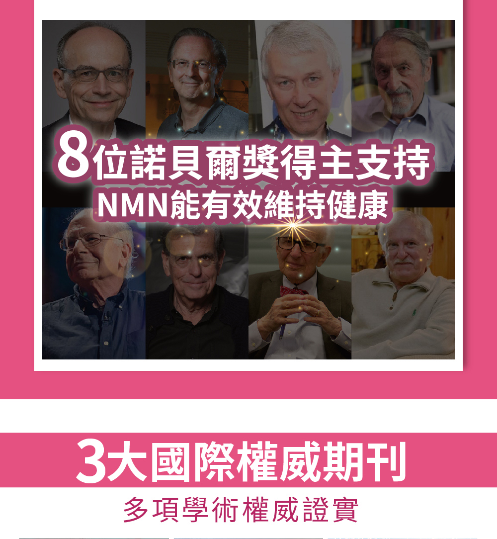 聚樂電商