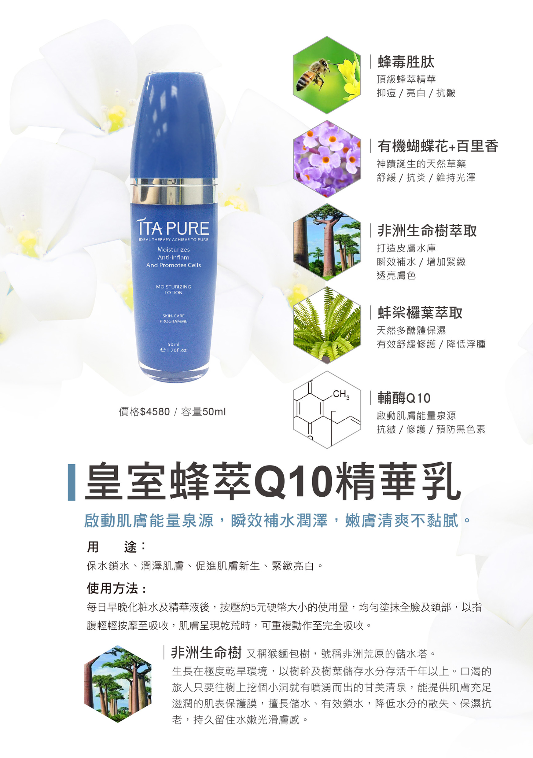 聚樂電商