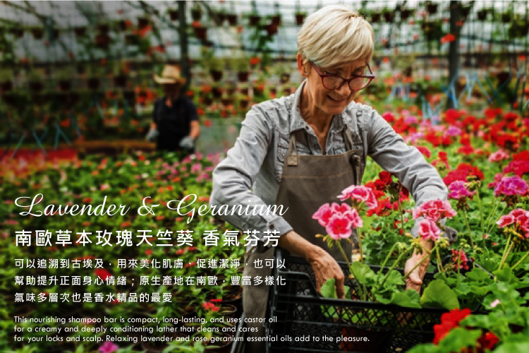 聚樂電商