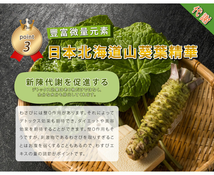 聚樂電商