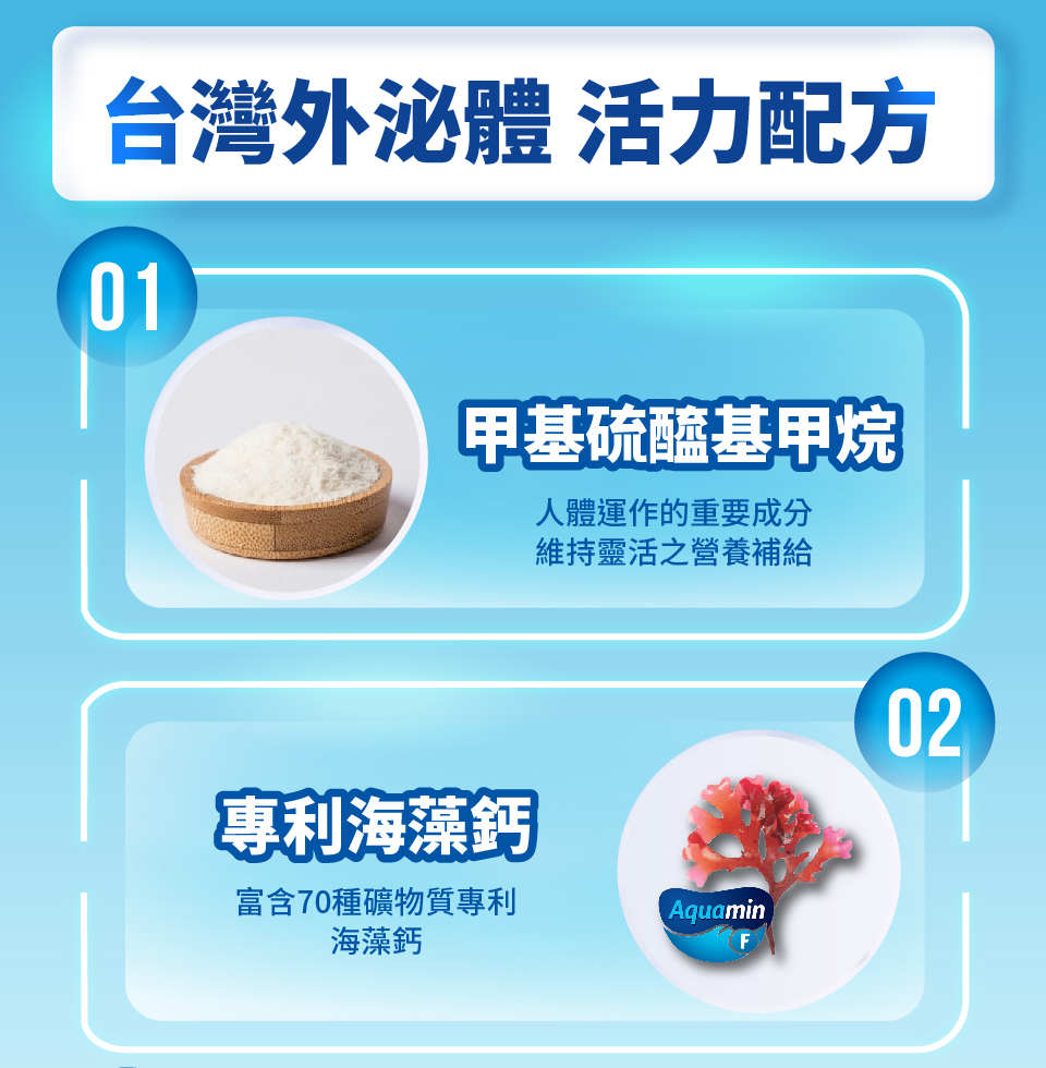 聚樂電商