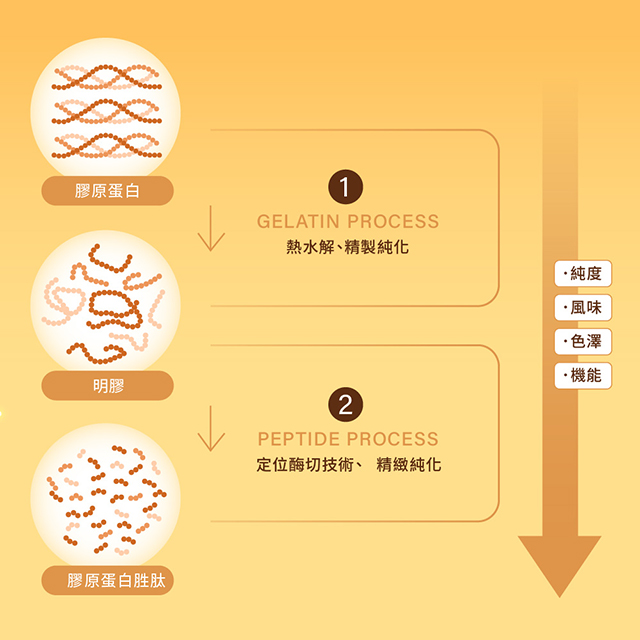 聚樂電商