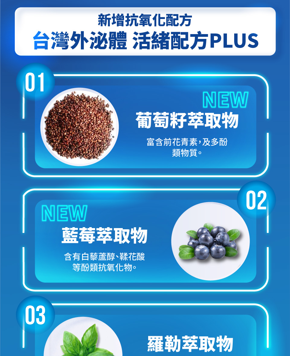 聚樂電商