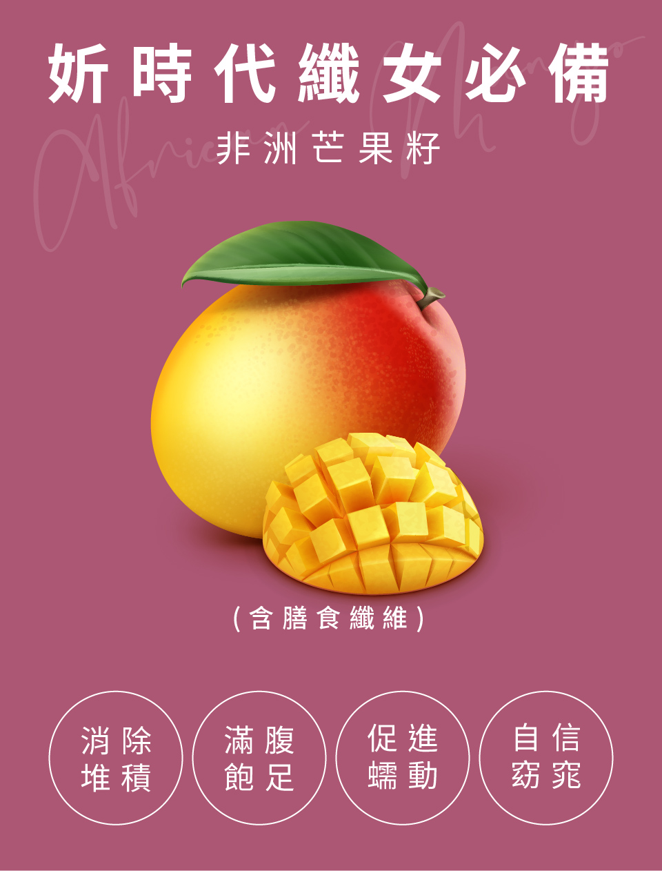 聚樂電商