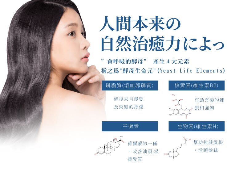 聚樂電商