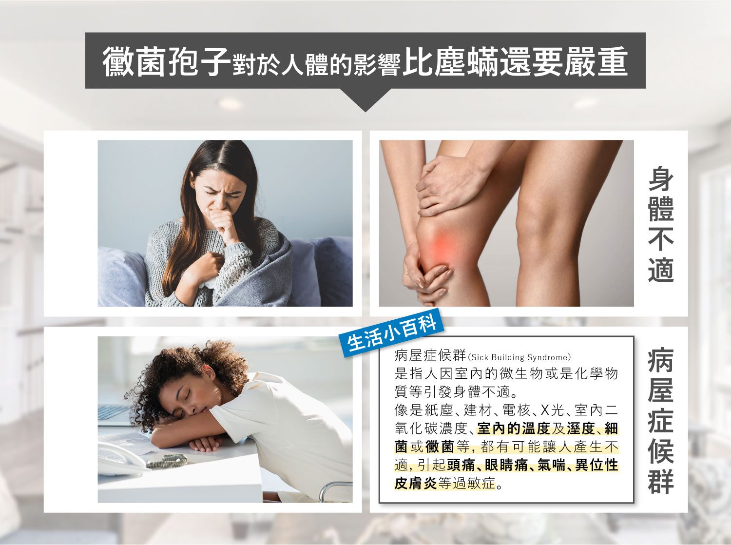 聚樂電商