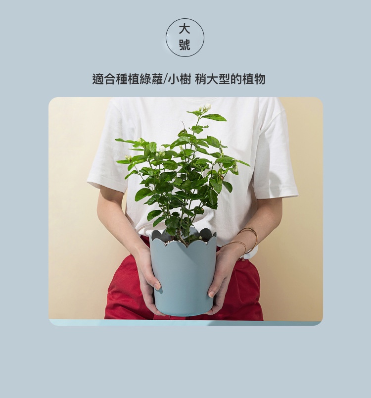 聚樂電商