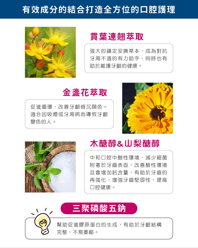 聚樂電商