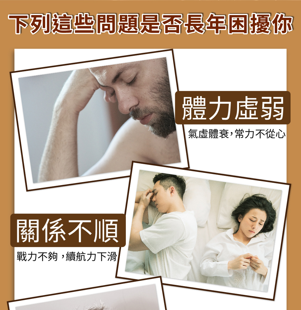 聚樂電商