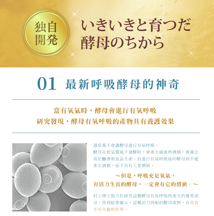 聚樂電商