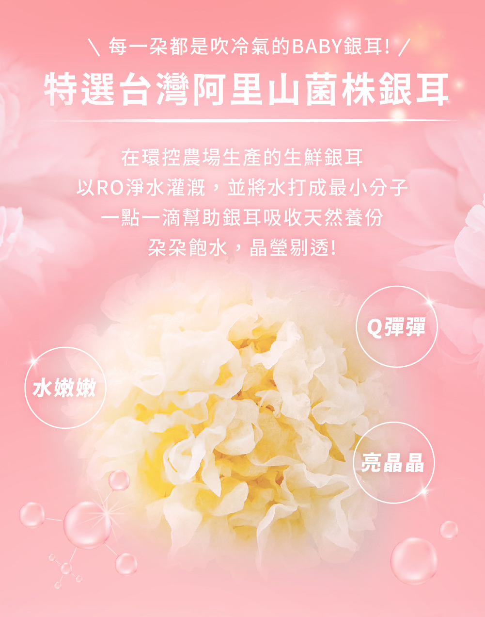 聚樂電商