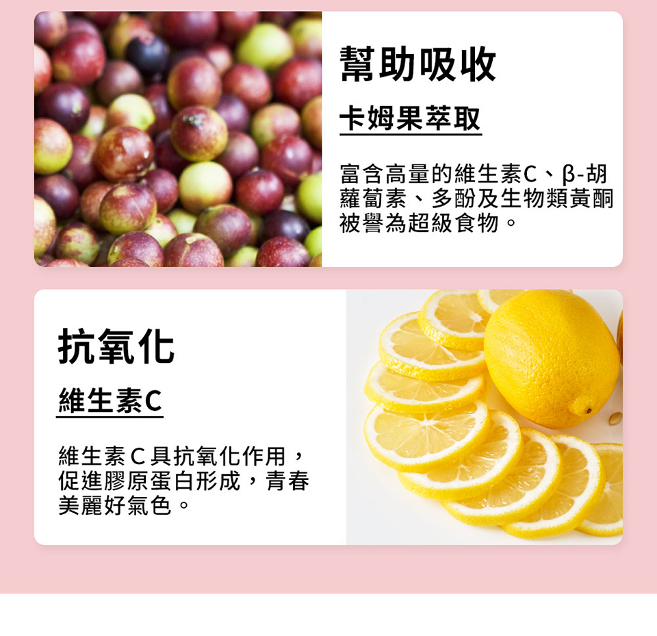 聚樂電商