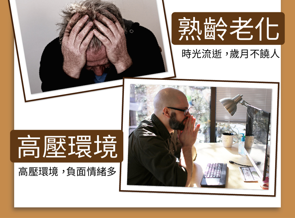 聚樂電商