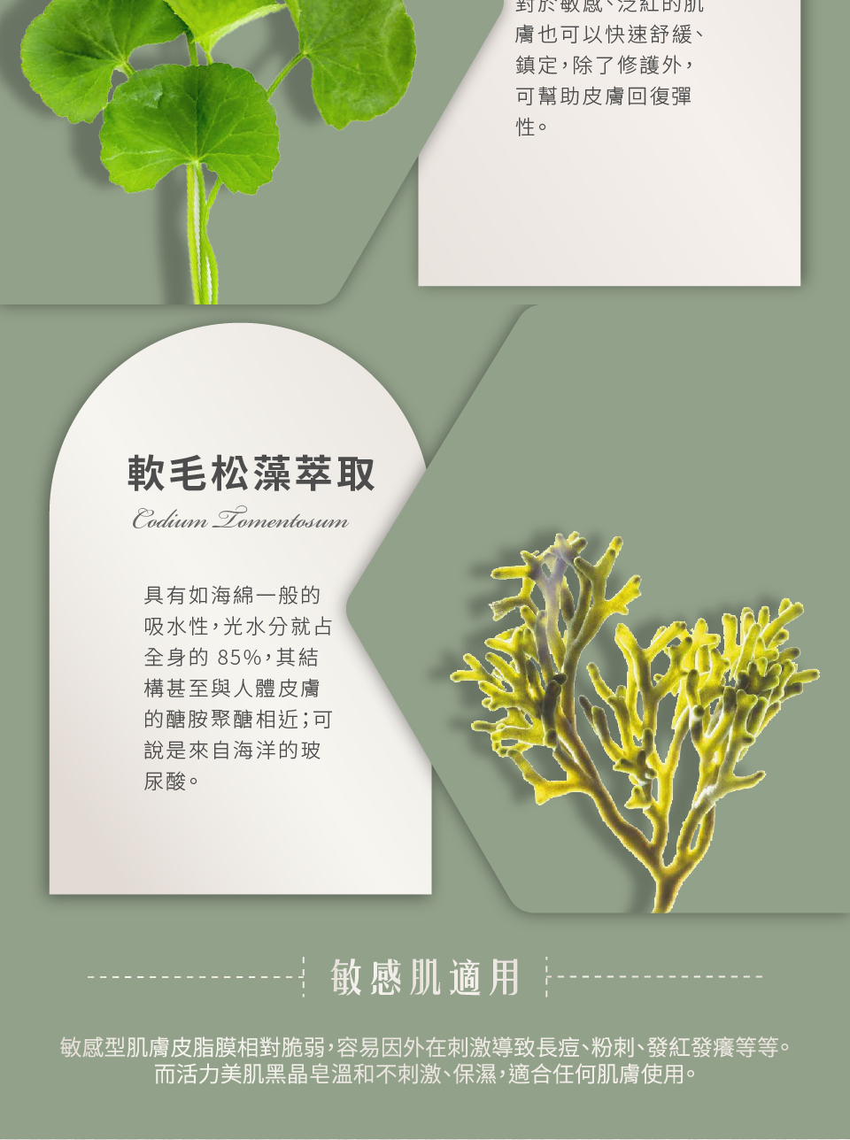 聚樂電商