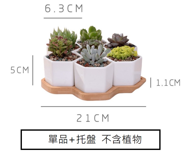 聚樂電商