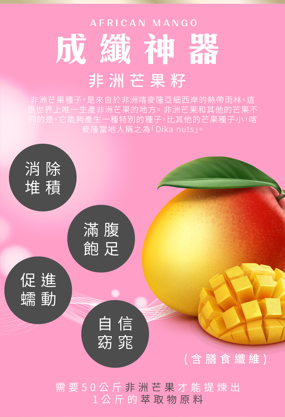 聚樂電商