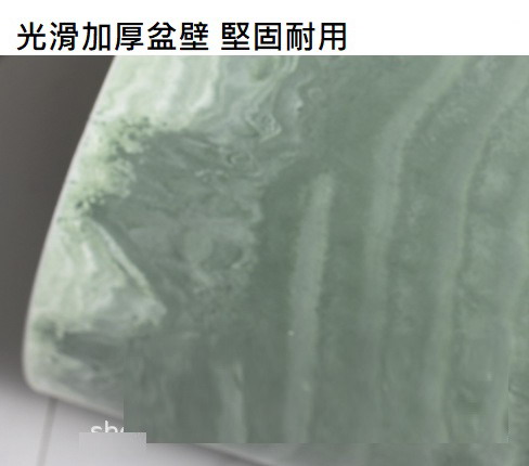 聚樂電商