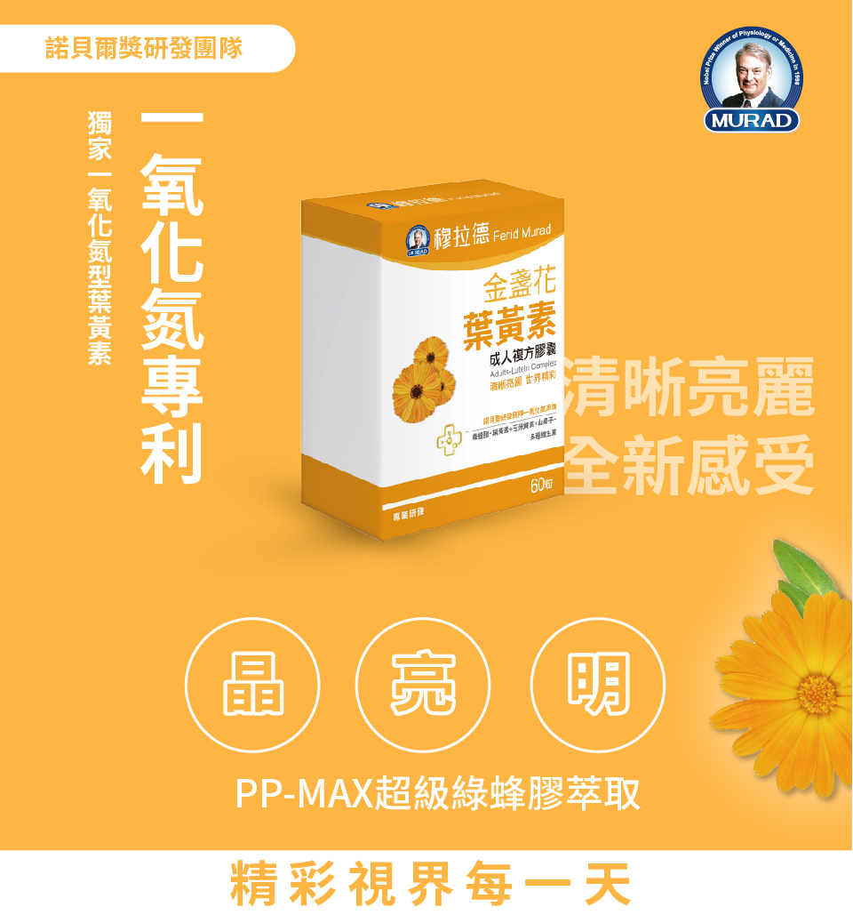 聚樂電商