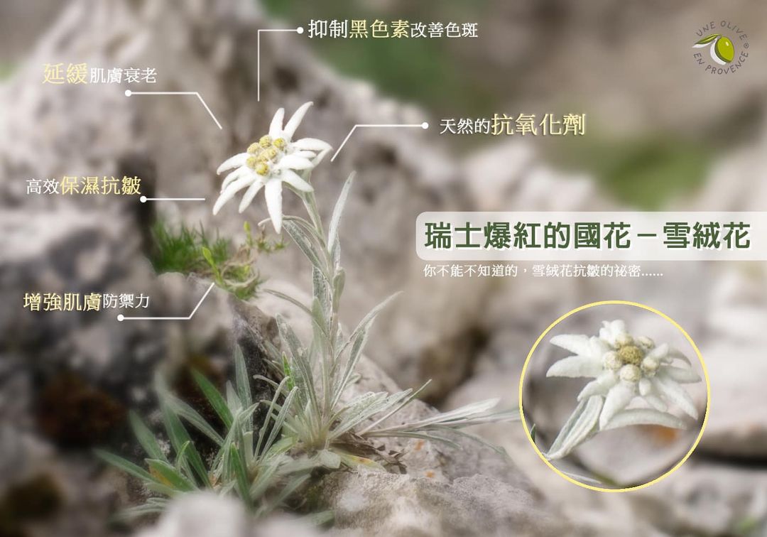 聚樂電商