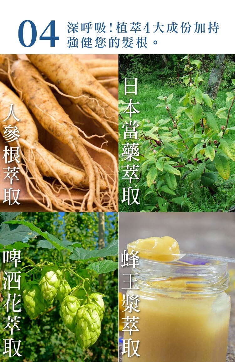 聚樂電商