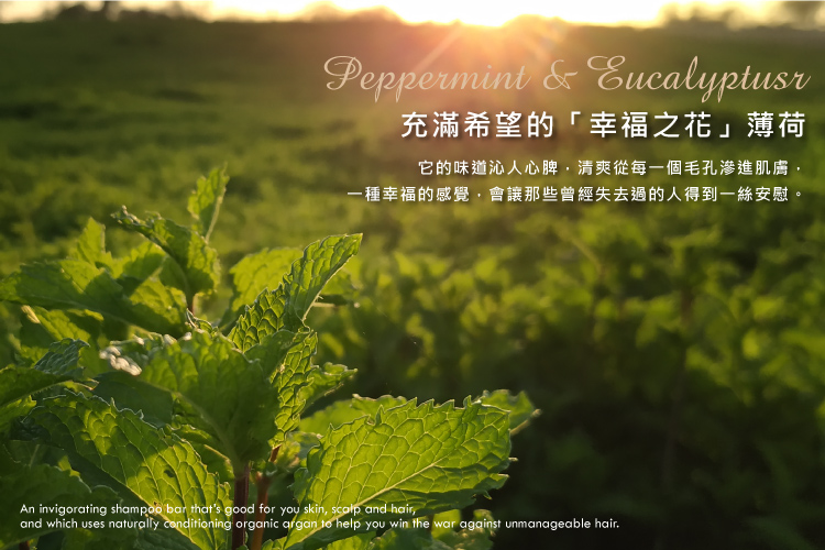 聚樂電商