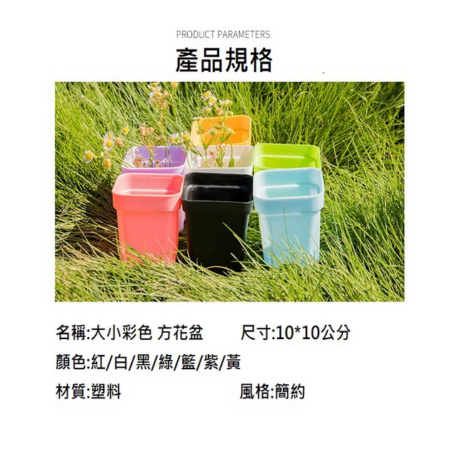 聚樂電商