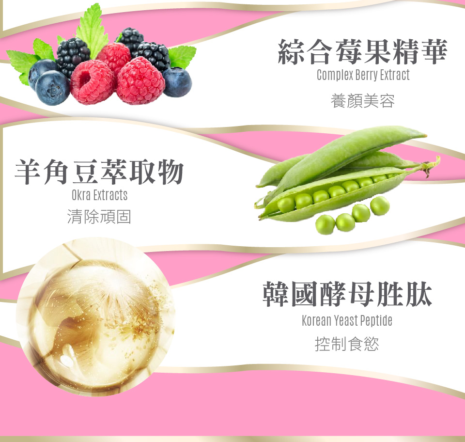 聚樂電商