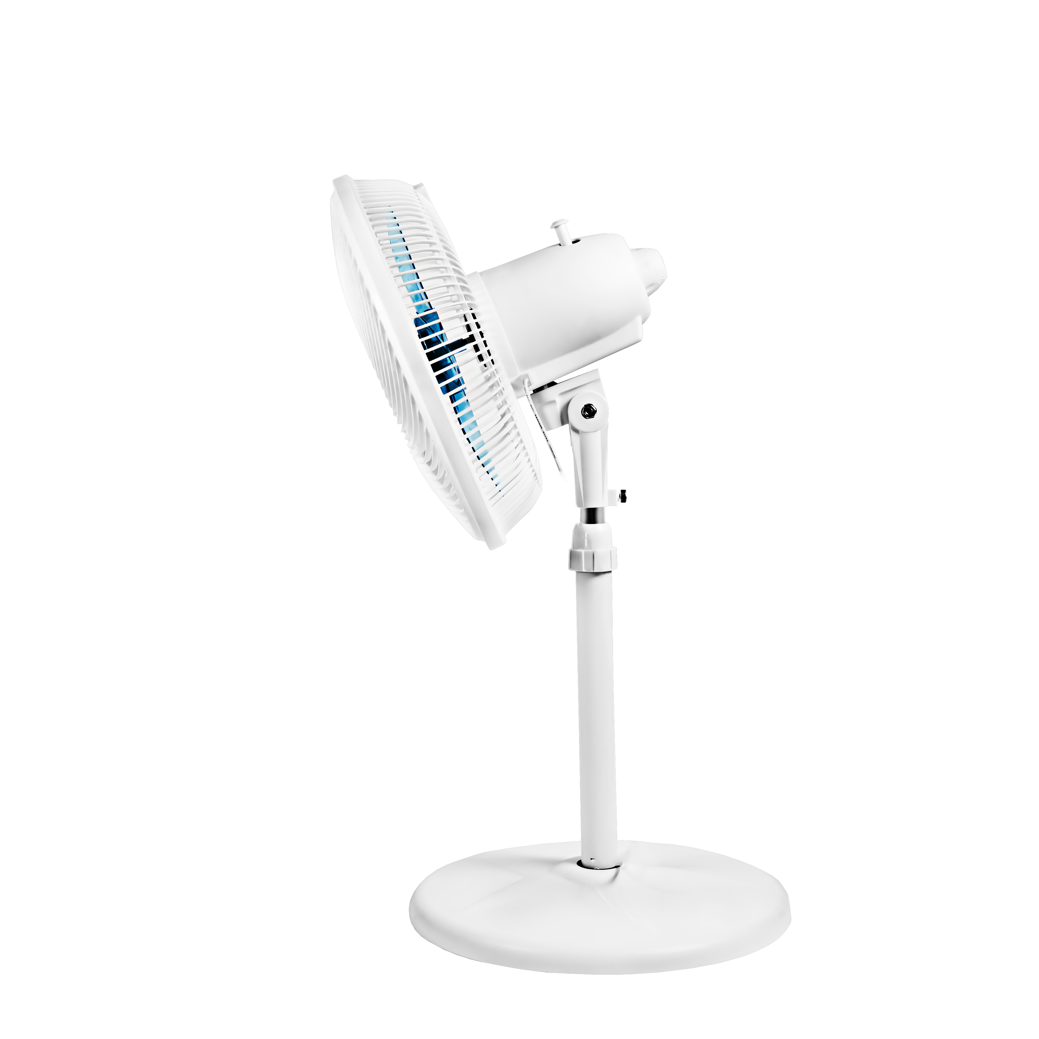 聚樂電商