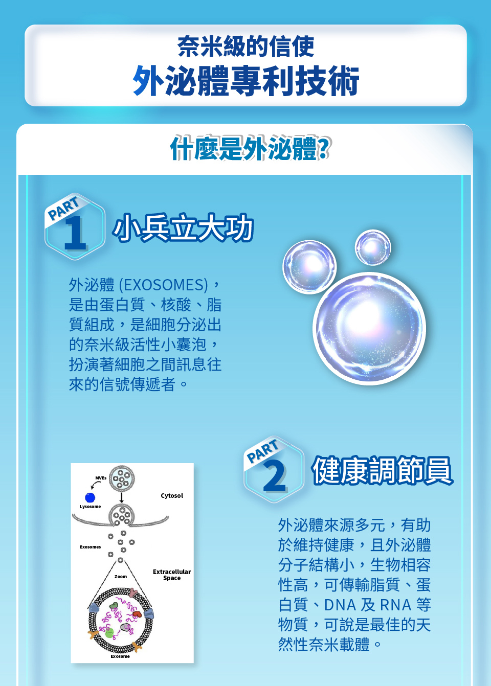 聚樂電商