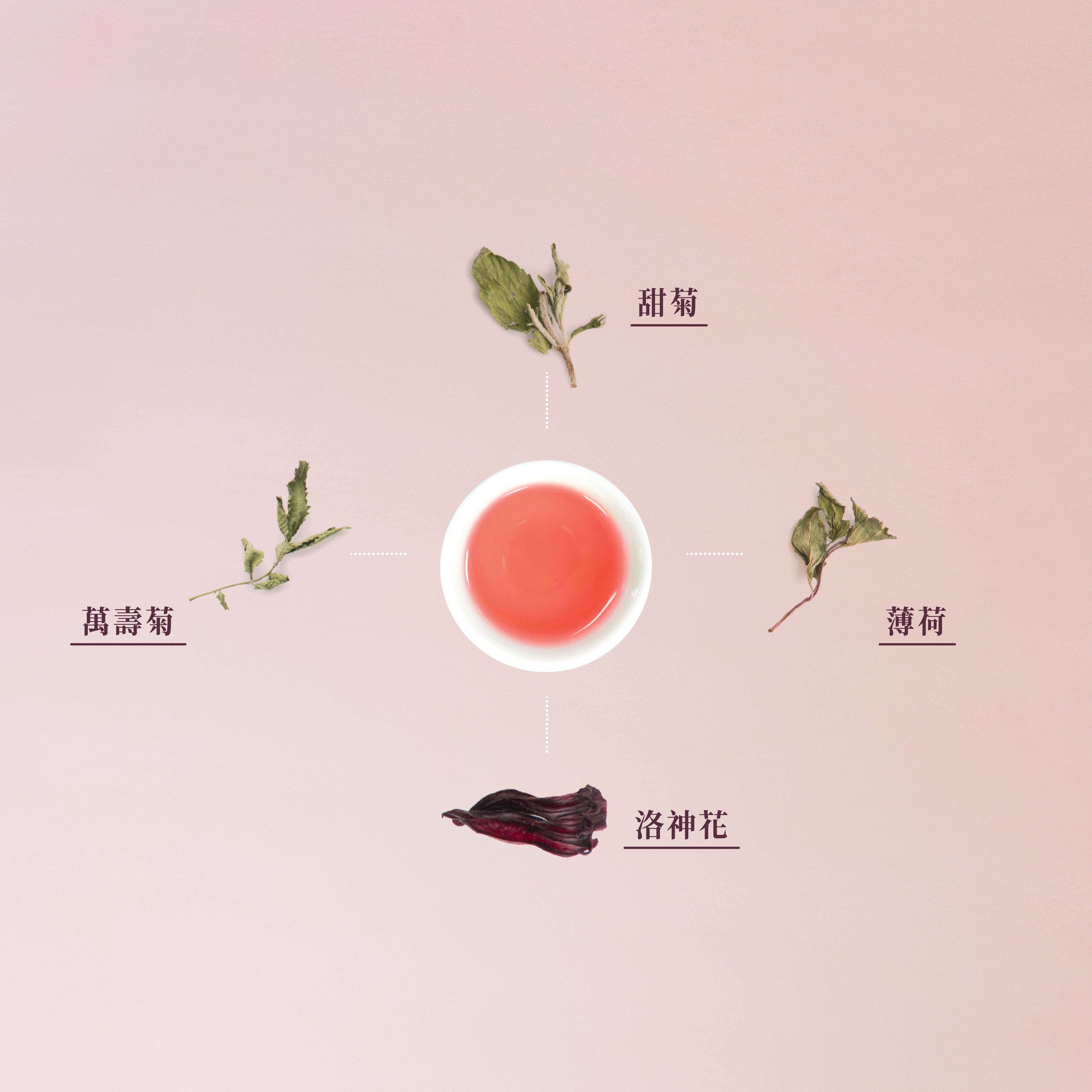 聚樂電商