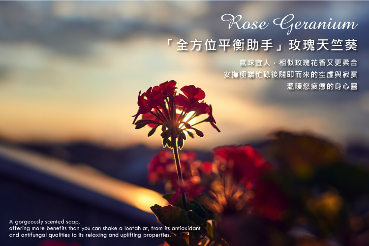 聚樂電商